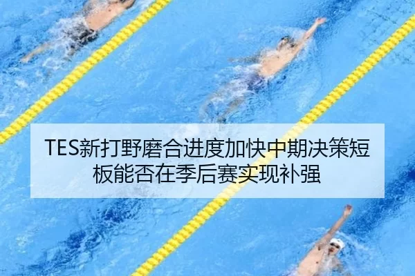 TES新打野磨合进度加快中期决策短板能否在季后赛实现补强