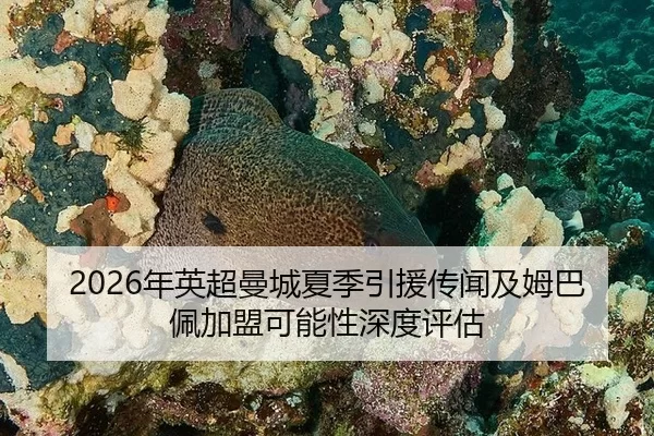2026年英超曼城夏季引援传闻及姆巴佩加盟可能性深度评估